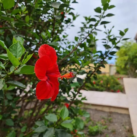 Holiday home Cumbrecita *